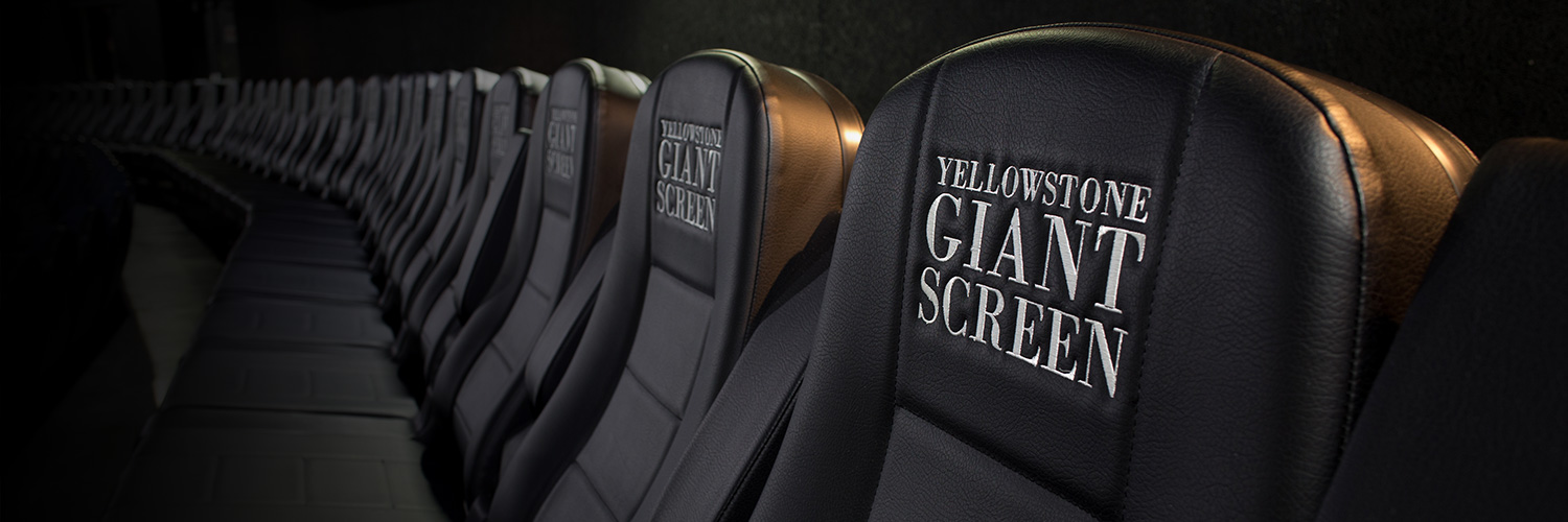 feature films every evening